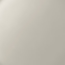 Color White/Grey Satin matt (23)