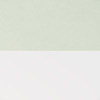 Color Interior Pale Green Matt / Exterior White Matt (FG)